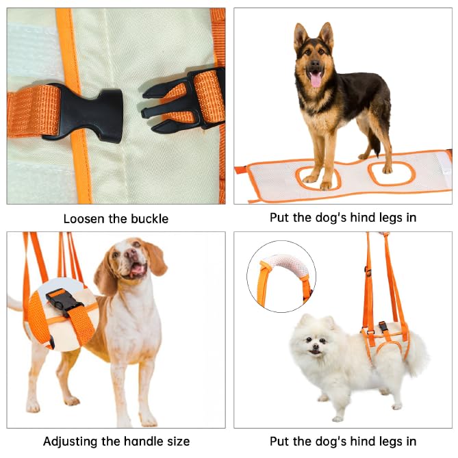 Paralyzed Dog Harness with Hind Leg Support - Small Sized Dog Sling, Adjustable Lift Harness, Hip Dysplasia Brace & ACL Tear Aid for Elderly Dogs - Alternative to Dog Wheelchair L