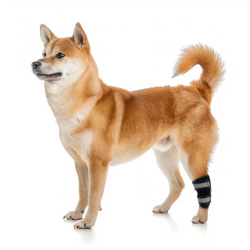 Dog Knee Brace for Torn ACL Hind Leg and Luxating Patella, Canine Rear Hock Joint Support, Joint Injury and Sprain Protection, Removable Design, Comes with 2 Spring Bars and 2 Steel Bars (XS Pair) XS - PawsPlanet Australia