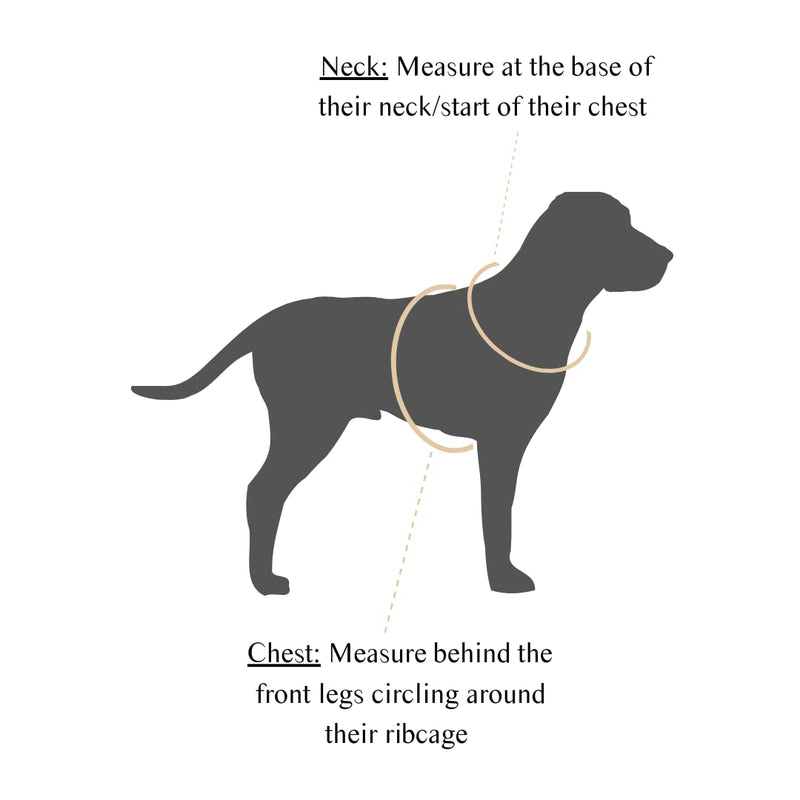 Heavy Duty Adjustable Dog Collar | Odor Proof and Easy to Clean | Made with a Comfortable Fabric and Metal Hardware | archie & alfred (Size Medium) Green - PawsPlanet Australia