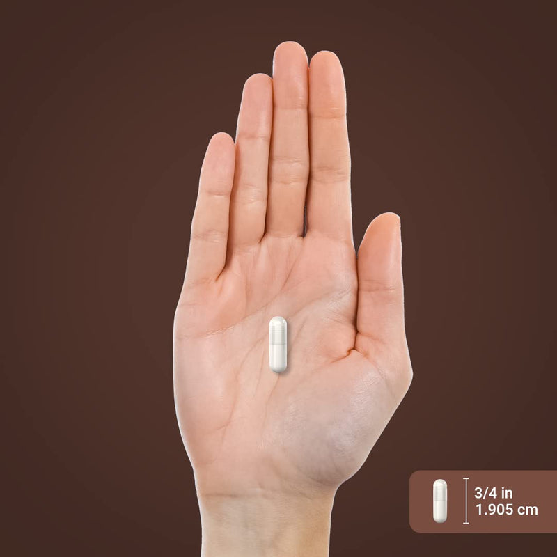 Piping Rock Devils Claw | 200 Capsules | Herbal Supplement | Concentrated Extract | Non-GMO, Gluten Free