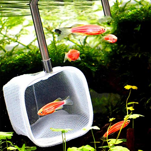 Fishing Landing Net Telescopic Aquarium Fish Shrimp Net Extendable Fish Tank Fishing Net with Stainless Steel Handle Green Square