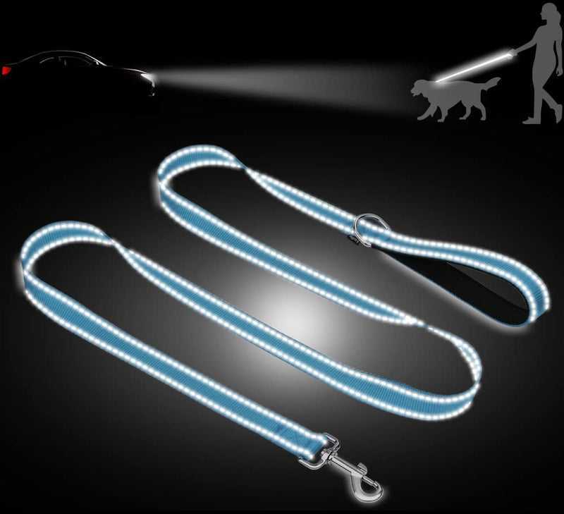 Taglory Dog Leash for Small Dogs | Double-Sided Reflective | Soft Neoprene Padded Handle | 3/4 inch by 5ft | Fit Small Medium Large Breeds Dogs Under 20lbs | Sky Blue 3/4 in x 5 ft (Pack of 1) - PawsPlanet Australia