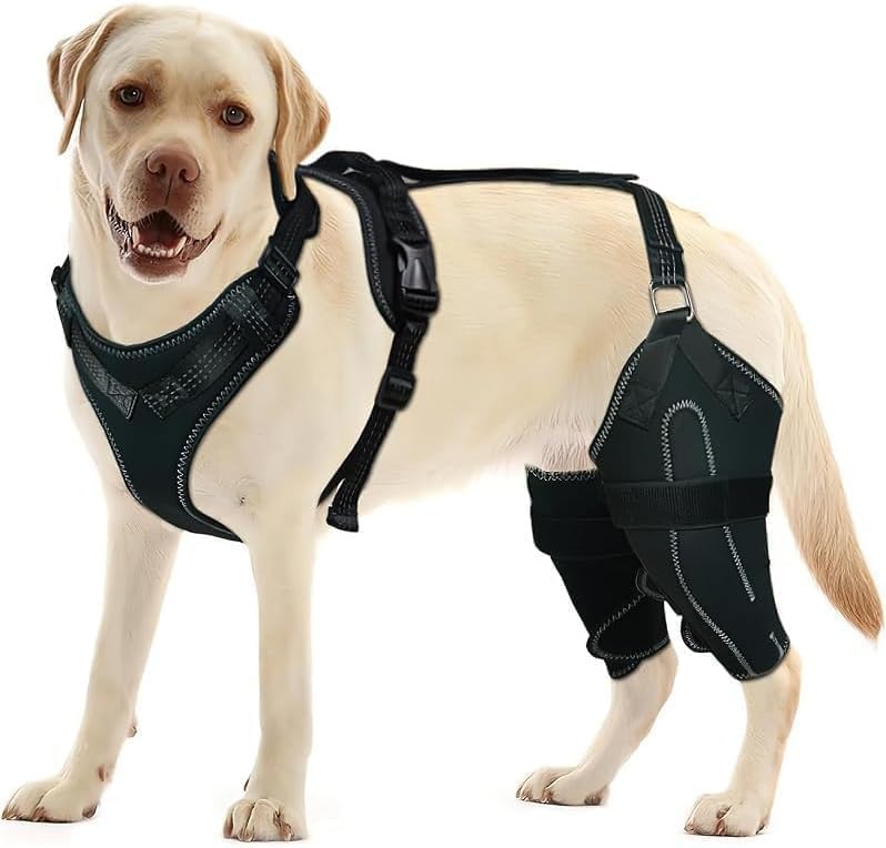 REBORN Dog Double Knee Brace for Torn ACL, CCL & Luxating Patella, Adjustable Back Leg Support & Recovery, Hind Leg Brace for Stability, Arthritis, Injury & Joint Pain Relief, Medium