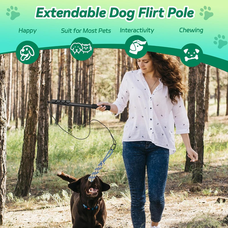 Flirt Pole Dogs, Dog Flirt Pole Extra Strong for Large Medium Small Dogs to Keep The Dog Entertained and Physically Exhausted Ball+Beaver L