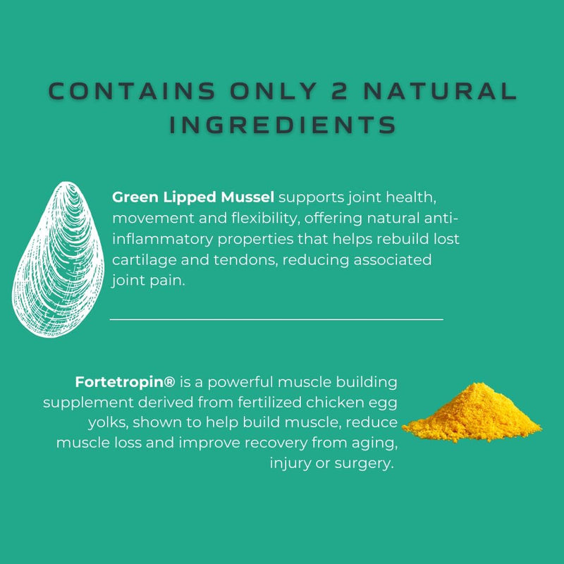 MYOS Muscle & Joint – All Natural Canine Joint Health Supplement Powered by Fortetropin with Green Lipped Mussel – Reduce Muscle Loss, Boost Joint Mobility & Improve Recovery and Reduce Inflammation