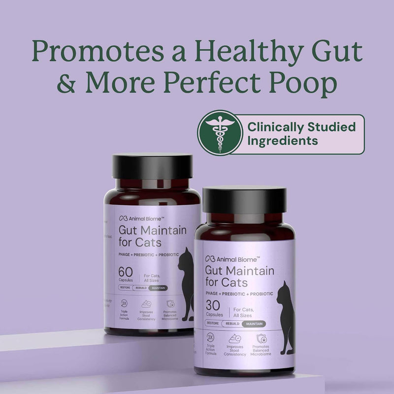 KittyBiome GMP Gut Maintenance Plus Diarrhea Relief for Cats - Triple Action Formula Designed to Reduce Diarrhea Caused by Antibiotics, C. Difficile, or E. Coli