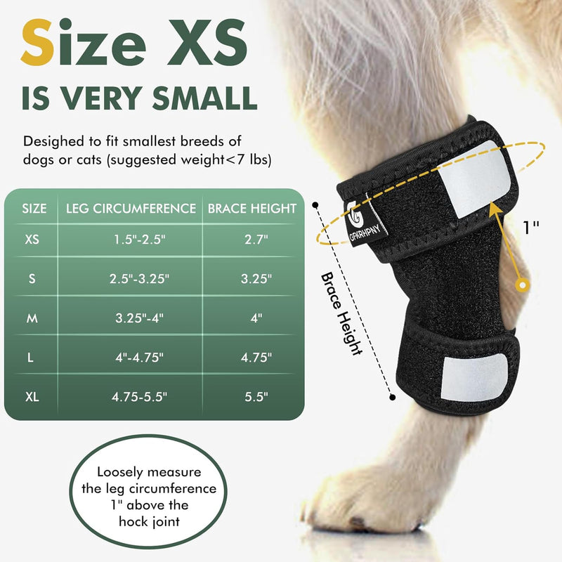 Dog Knee Brace for Torn ACL Hind Leg and Luxating Patella, Canine Rear Hock Joint Support, Joint Injury and Sprain Protection, Removable Design, Comes with 2 Spring Bars and 2 Steel Bars (XS Pair) XS