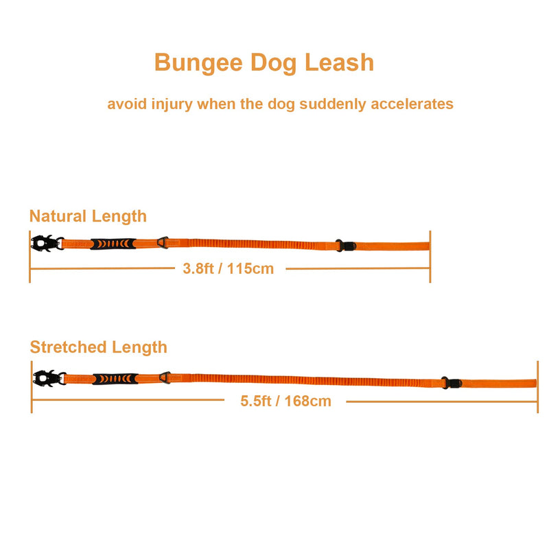 No Pull Tactical Dog Leash for Shock Absorption, Bungee Dog Leash with 2 Control Handle, Car Seat Belt Clip and Highly Reflective Threads. (Orange, M) Orange - PawsPlanet Australia