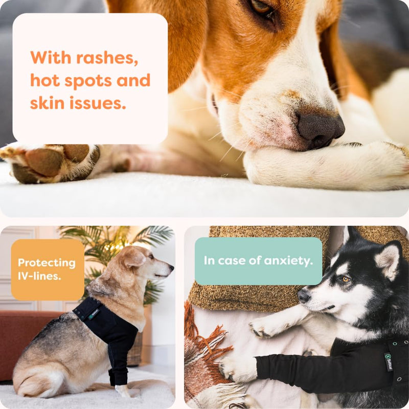 Suitical Recovery Sleeve for Dogs | Front Leg Protection After Surgery | Dog Leg Sleeve to Stop Licking | Machine Washable | Chest Circumference 11.8”- 16.9” | Sleeve Length 4.7” | 2XS | Single Sleeve Black-Single Sleeve