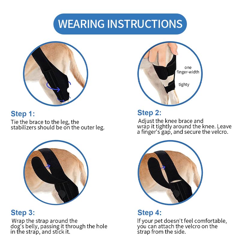 Adjustable Dog Knee Braces for Back Leg Stabilizer Support for ACL Patella Injury Arthritis Post Surgery Recovery(Black M) Medium