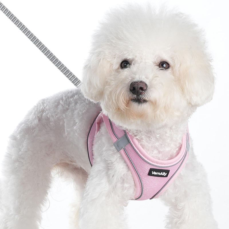 Sparkly Dog Harness Small Sized and Leash Set for Small Dogs Cats,Pink XXS Puppy Harness, Step in Soft Dog Reflective Vest, Breathable Mesh Pet Harness. (Pink, XXS) Pink - PawsPlanet Australia