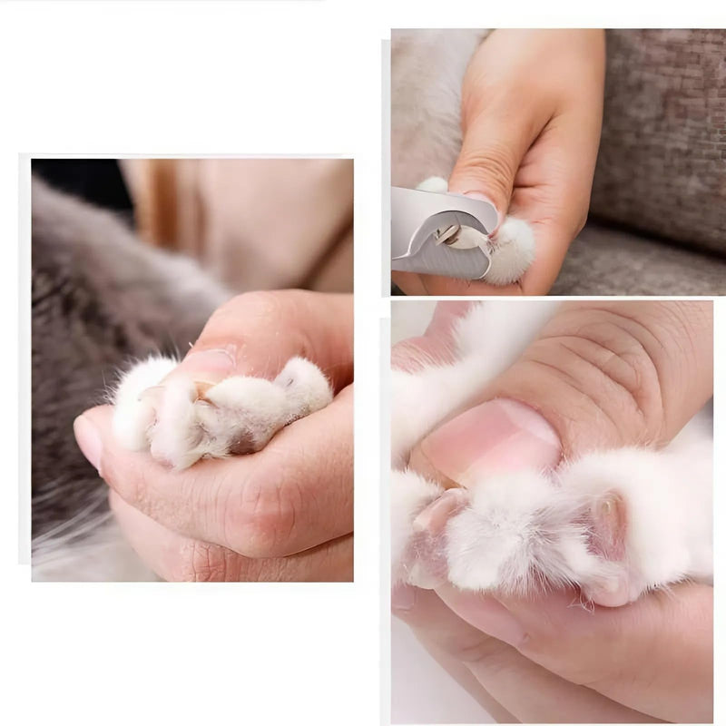 Heavy Duty Pet Nail Cutter Nail Clippers Dog Nail Trimmers Nail Kit Rotating Dog Nail Clipper For Dog Claw Care Dog Nail Cutters For Large Dogs Extra Large Dog Nail Clippers - PawsPlanet Australia