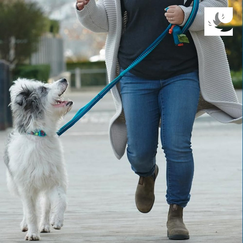 RC Pet Products P.U.P Bag Convenient, Durable, Efficient Waste Disposal Bag Carrier | Multi Stripes Red - PawsPlanet Australia