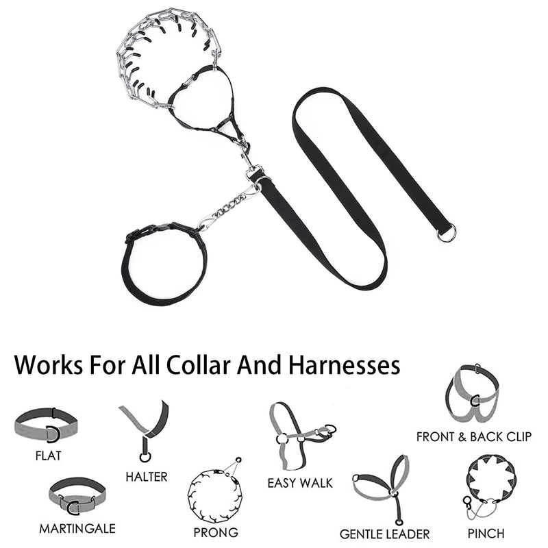 Metal Dog Collar Safety Clip, 2 Pack Stainless Steel Backup Clip for Prong Collar, Harness, Pinch Collar, Gentle Lead With Carabiner - PawsPlanet Australia