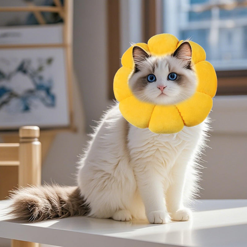 Cat Collar - Soft Protective Collar with Sunflower Design to Protect Against Licking & Scratching, Adjustable for Cats & Small Dogs