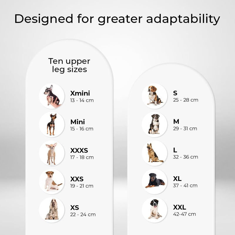 Ortocanis - Dog Knee Brace - for Left Hind Leg - Made of ARD Neoprene - for ACL Tear, Ligament Injuries, Patellar Luxation or Osteoarthritis - Size Large (12,3-14,2 ") Left Leg Size Large (12,3 - 14,2 ") - PawsPlanet Australia