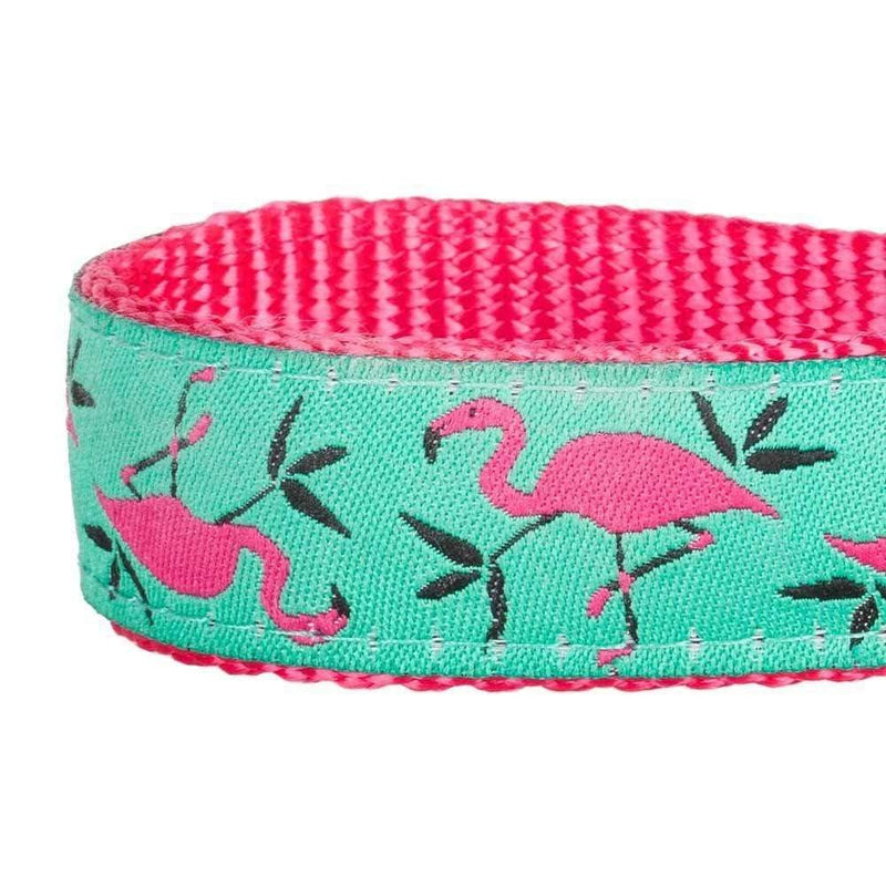 Blueberry Pet Essentials 2 Patterns Durable Pink Flamingo on Light Emerald Dog Leash 5 ft x 3/8" for Puppy, X-Small, Basic Nylon Leashes for Dogs 5' * 3/8" (Pack of 1) - PawsPlanet Australia