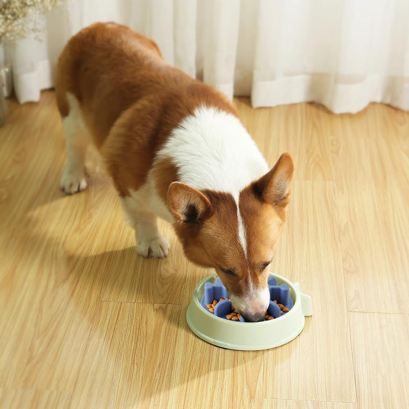 Slow Feeder Dog Bowls Insert, Animire Soft Silicone Anti-Choking Puzzle Slow Feeder, Anti-Slip Slow Down Eating Feeder Insert, Compatible with Regular Elevated Dog Bowls Slow2.0 L Blue - PawsPlanet Australia