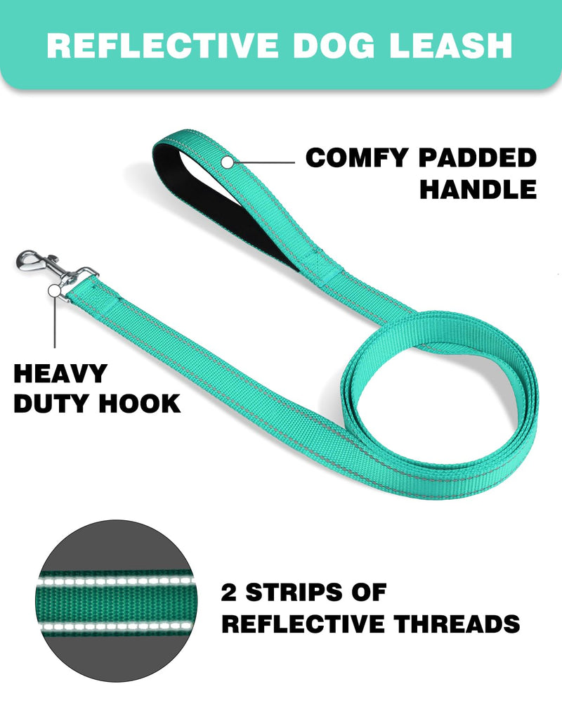 6ft Dog Leash for Small Medium Large Dogs | One-Sided Reflective Nylon | Padded Handle | 3/4 inch Wide | Turquoise 3/4"*6' - PawsPlanet Australia