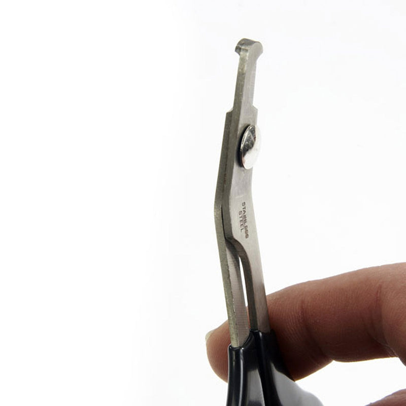 Master Grooming Tools Pet Nail Scissors — Stainless Steel Scissors for Trimming Nails on Cats and Birds - Medium, 5" M - PawsPlanet Australia