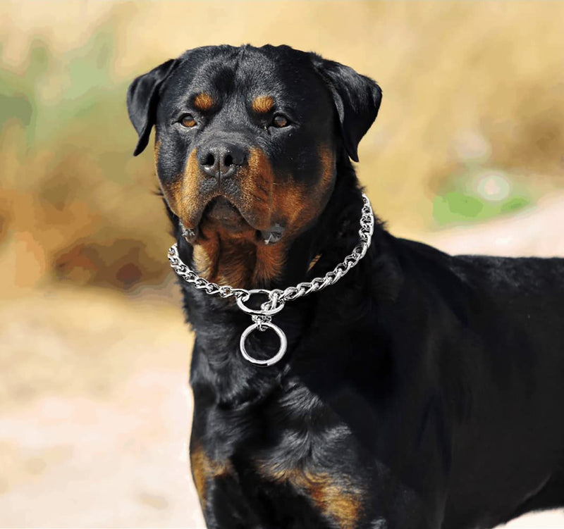 Freezx Dog Choke Collar Slip P Chain,Heavy Duty Metal Training Choke Collars, Adjustable Weather Proof Alloy Steel Chains for Small Medium Large Dogs Silver L Length: 22” (suitable for dog's neck 18") - PawsPlanet Australia