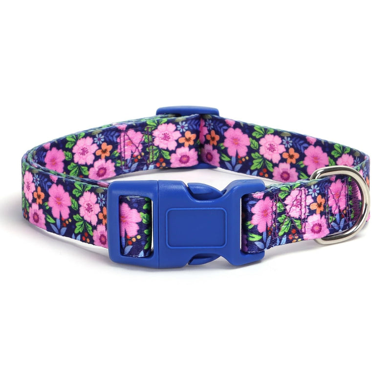 Dog Collar with Leash Airtag Holder Case Set - Dog Collars for Male Female Boy Girl Puppy X-Small Small Medium Large Dogs Walking Running Training - Daisy/XS XS:7.8-11.8'' girth , 0.6'' width