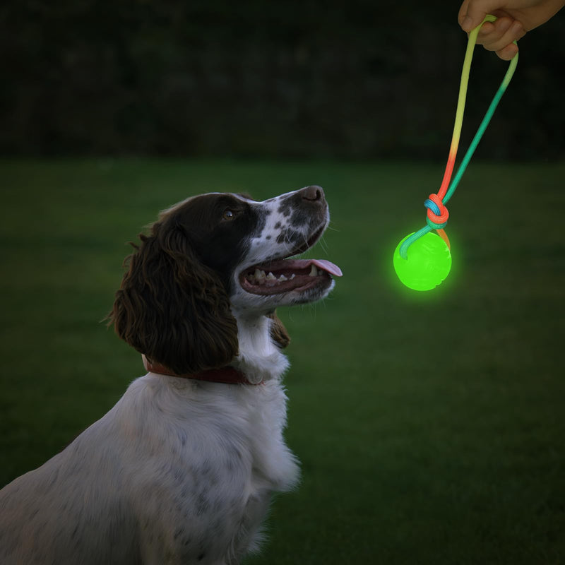 2 Pcs Glow in The Dark Dog Training Ball on Rope 2.36 Inch 12 Inch Rope Glowing Rubber Dog Toys Dog Pull Tug Throw Toys with Handle Reward Fetch Exercise Ball for Small Large Medium Dogs - PawsPlanet Australia