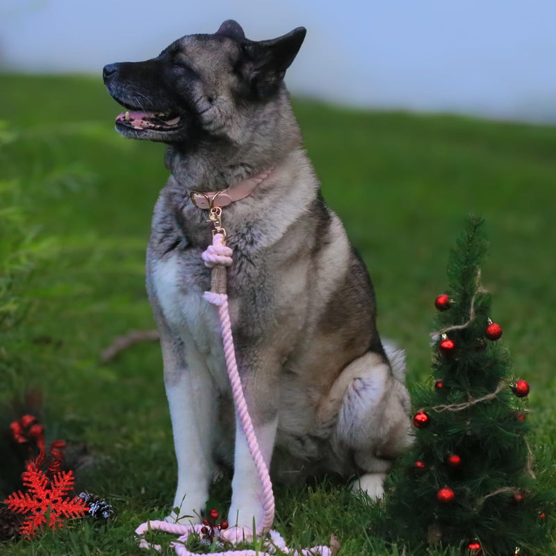 Handcrafted Cotton Rope Dog Collar for Small, Medium & Large Dogs – Soft, Hypoallergenic & Adjustable, Leather Reinforced with Rust-Proof Zinc Clasp. Perfect for Everyday Walks, Training & Weddings Light Pink Large (15" - 18") - PawsPlanet Australia