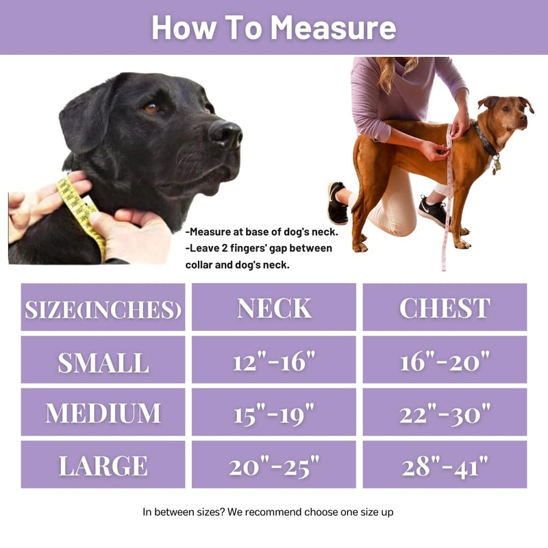 Dog Harness, No-Pull Pet Harness with 3 Leash Clips, Adjustable Soft Padded Dog Vest, Breathable Mesh Cushion for Small Medium Large Dogs (Purple, Medium (Neck:15"-19" Chest 22"-30")) Medium (Neck:15"-19" Chest 22"-30") Purple - PawsPlanet Australia