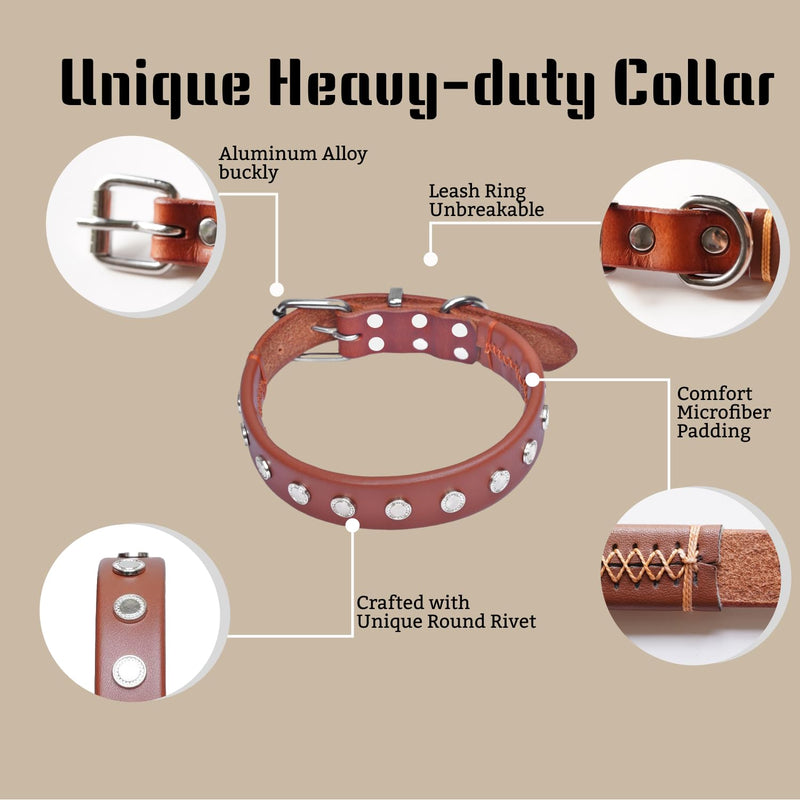 Premium Genuine Leather Dog Collar with Unique Rivet Detail - Durable, Adjustable, & Stylish & Comfortable Wear for All Breeds - Red Brown M (12.99~16.93") - PawsPlanet Australia