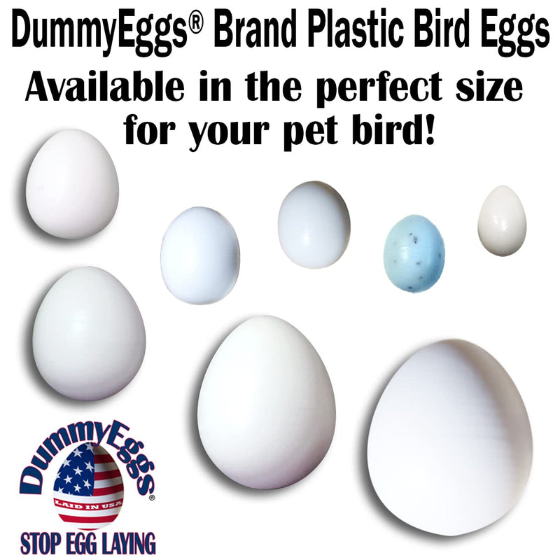 DummyEggsⓇ USA. 6 Lovebird Dummy Eggs. Stop Laying! Realistic Plastic Fake Bird Eggs. Perfect for Lovebird, Lineoleated, Eng Budgie. Non-Toxic Solid Premium White Plastic 7/8" x 3/4" Laid in USA! - PawsPlanet Australia