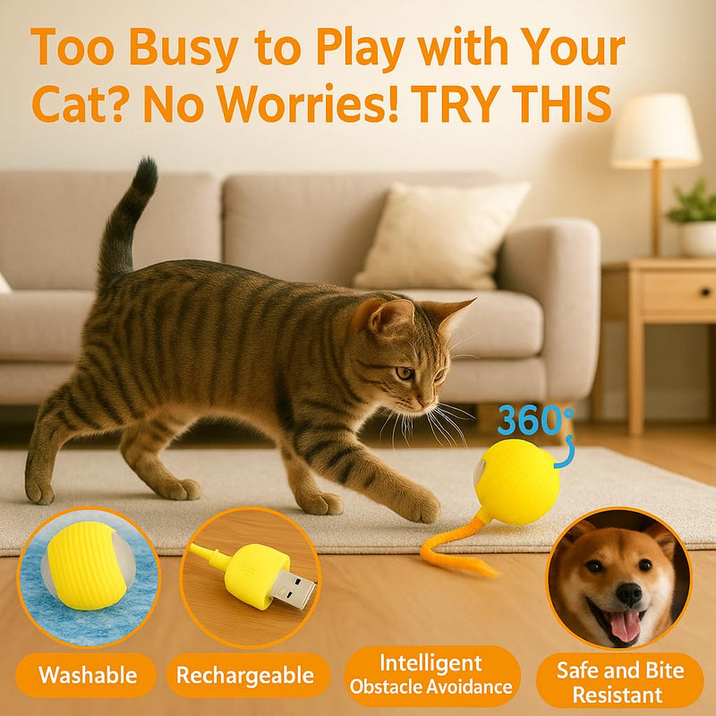 Automatic Cat Toy Ball – Rechargeable Cat Ball with Feather & Ribbon Tail – Light-Up Effects – Smart Rolling Indoor Cat Toys – Dual Speeds – Interactive Cat Toys for Kittens Yellow - PawsPlanet Australia