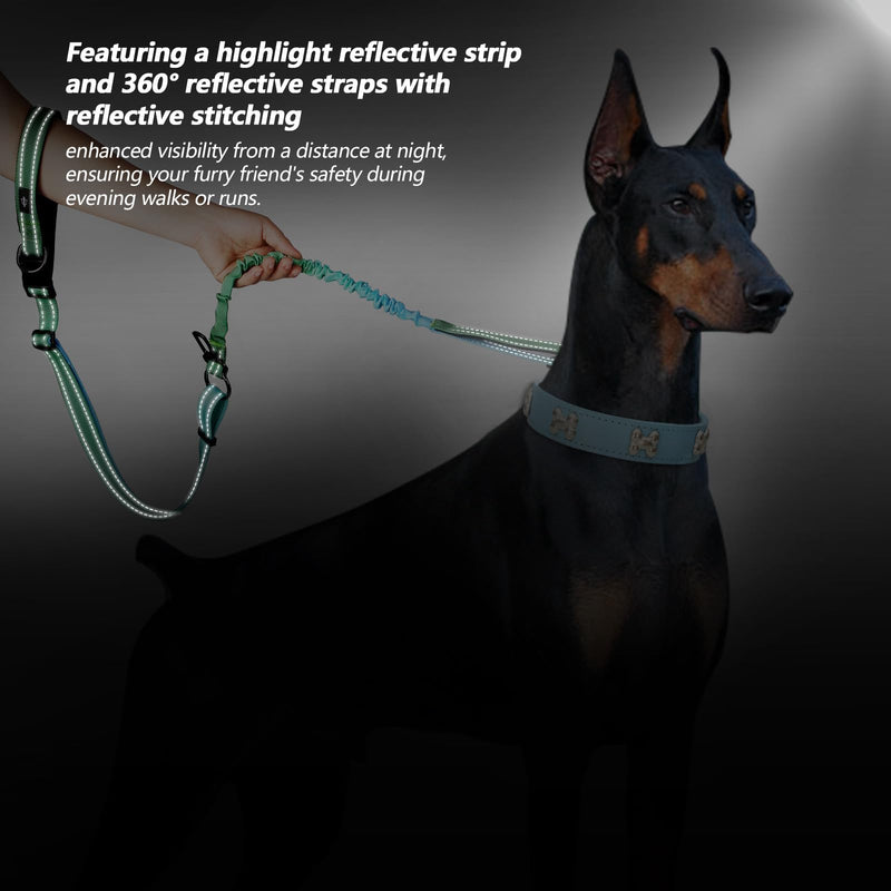 Hands-Free Heavy Duty Bungee Dog Leash, No Pull Running Waist Leash for Walking, Training with Car Seatbelt, Adjustable 4-6FT, Reflective, Dual Handles, Metal Safe Lock (OCEANCHILL) OCEANCHILL - PawsPlanet Australia