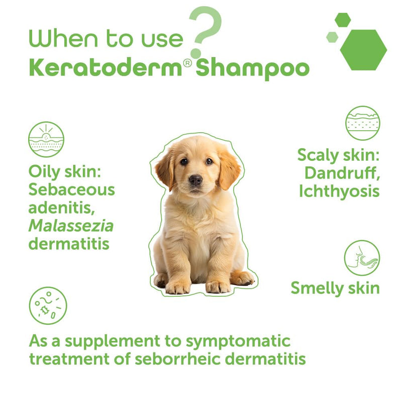 Keratoderm® Dermatology Shampoo for Dogs & Cats – Veterinary Skin Care for Greasy, Flaky & Scaly Skin – Advanced Keratolytic & Sebum-Balancing Formula – 200ml Leak-Proof Tube - PawsPlanet Australia