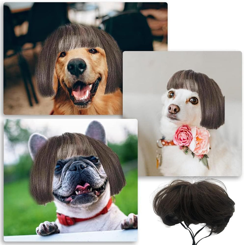 Dog Wig, Pet Wig, Funny Dog Costume for Small Medium and Large Dogs, Cat Cosplay Wig, Dog Hats for Halloween, Christmas, Parties and Festivals - PawsPlanet Australia