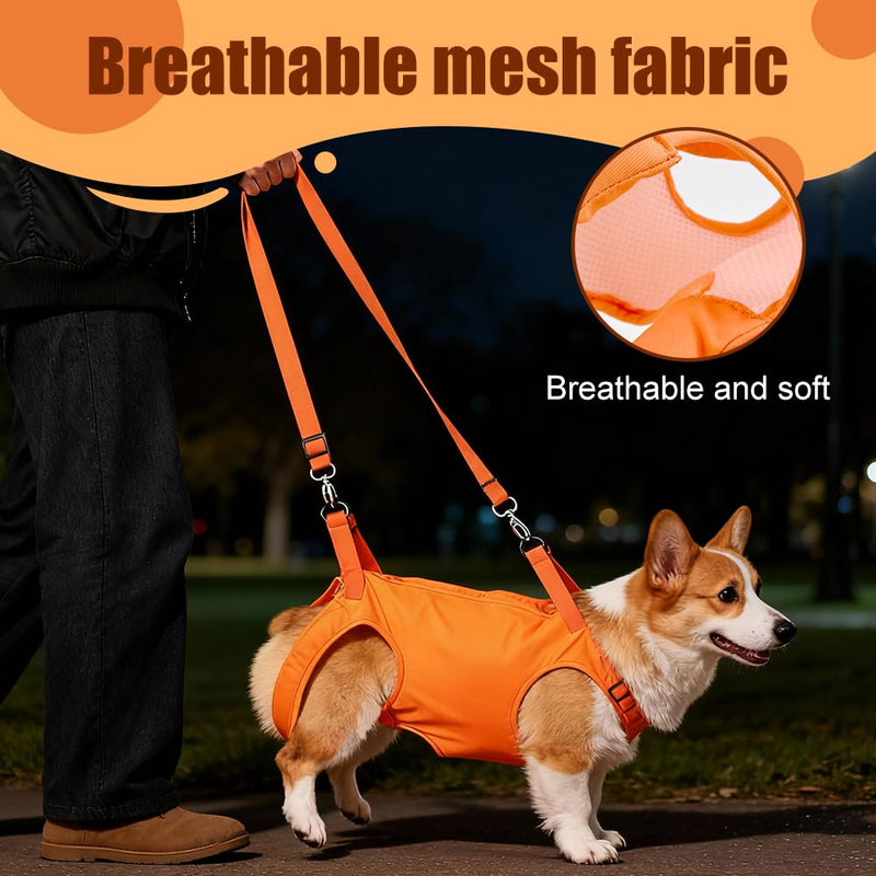 Dog Sling Harness, Adjustable Lifting Support Sling for Disabled & Elderly Dogs, Breathable Mesh with Padded Handle Dogs Cats Carrier for Walking 17 * 21 * 3