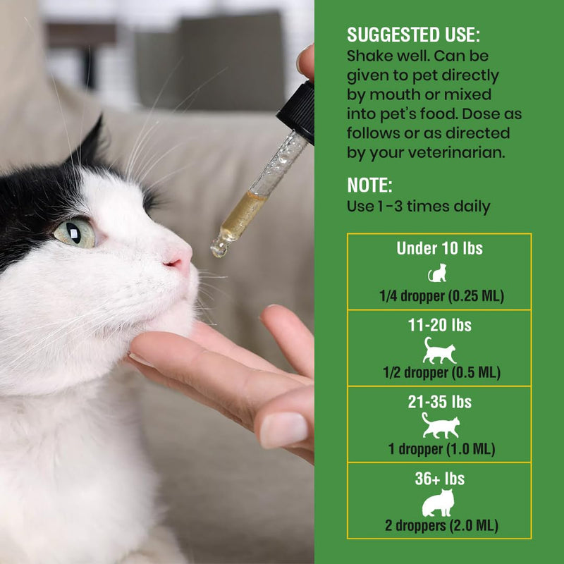 Natural Intestinal Defense for Cats, Herbal Cleanse with Wormwood, Black Walnut, Turmeric - NO Oregano - Digestive Support Promotes Gut Health & Flora Balance, Made in The USA, 8oz