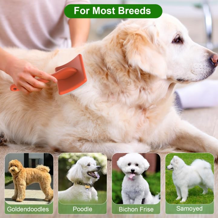 ACE2ACE Dog Slicker Brush, Doodle & Poodle Grooming Brush with Stainless-steel Comb, Large Dog Brush for Goldendoodles, Labradoodles, Golden Retriever and Poodles to Remove Tangles, Undercoat & Mats Orange