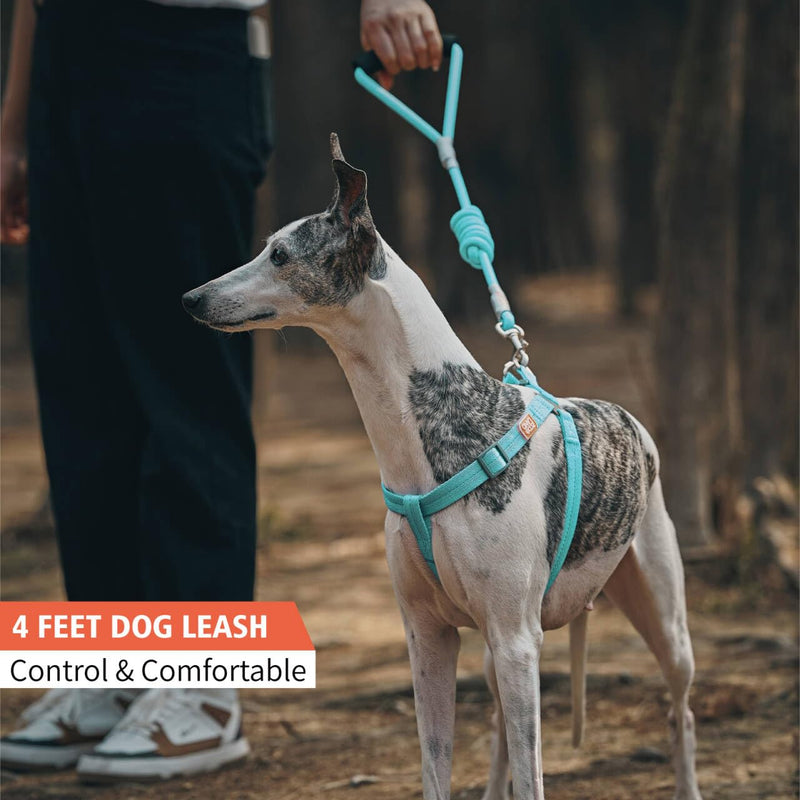 ZOOLAND 4 FT Dog Leash with Comfortable Padded Handle Threads for Small Medium and Large Dogs Puppy Laisse Pour Chien (4FT-0.28"(Pack of 1) Green S) 0-22LB - PawsPlanet Australia