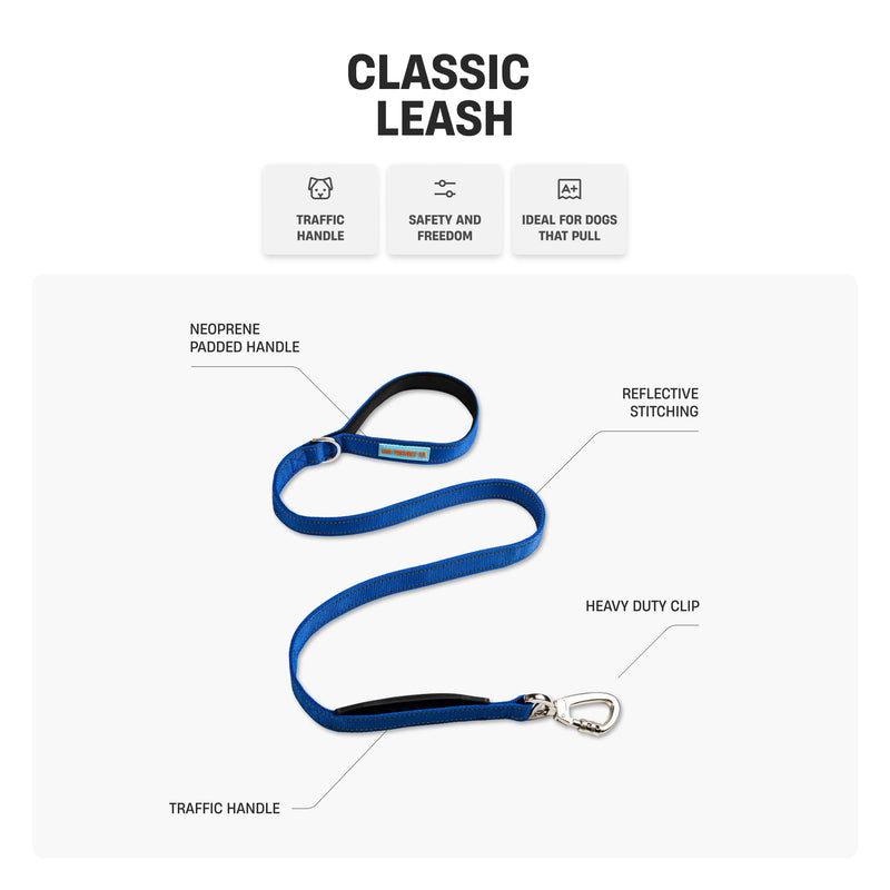 DF Co. Classic Dog Leash | Strain-Free, Shock Resistant, Prevents Jolts, Maintain Control | Durable Waterproof Material with Heavy Duty Clip & D-Ring | Black, Size Regular - PawsPlanet Australia
