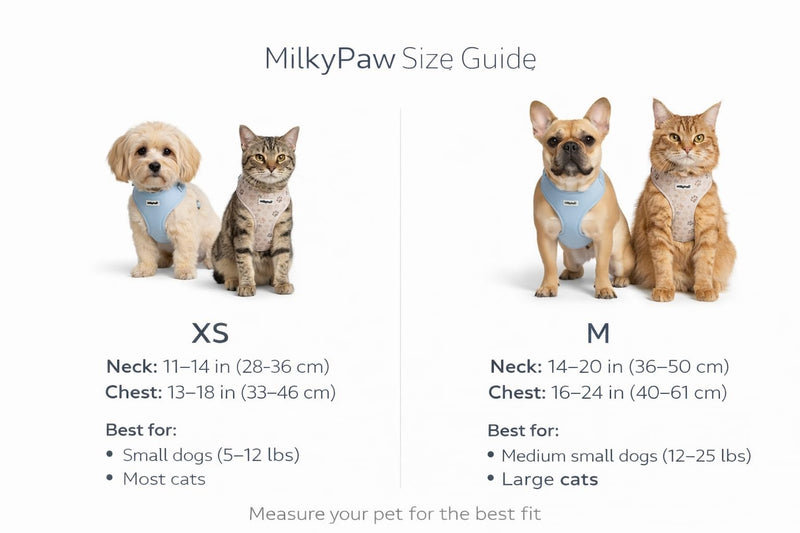 Dog Harness — Soft Adjustable Vest for Small Dogs & Cats, No-Choke, Breathable Mesh, Lightweight, Comfortable Pet Harness Paw Print Medium (12-22 Lb) - PawsPlanet Australia