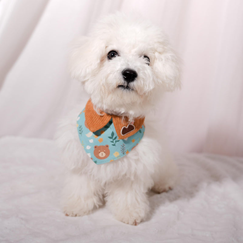 Pet Bandana for Cats and Dogs | Soft and Durable Pet Scarf | Available in 5 Styles S/M/L/XL | Adjustable Triple-Snap Closure (Turquoise Bear, Small) Turquoise Bear - PawsPlanet Australia