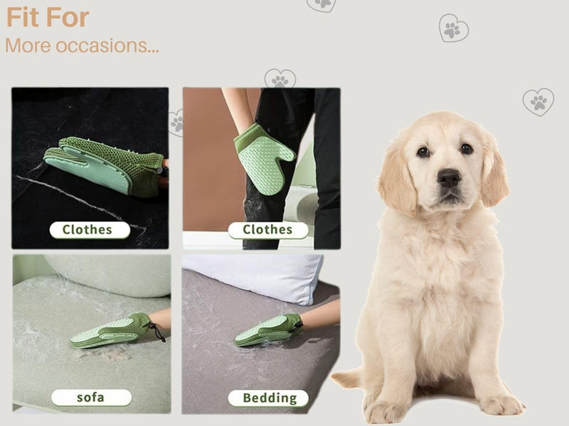 Dog Grooming Kit 9pcs Dog Brush for Shedding- Self-Cleaning Slicker Brush,Grooming Glove,Cat Comb,Pet Toothbrush,Towel & Travel Bag – Ideal for Long & Short Hair Pets - PawsPlanet Australia