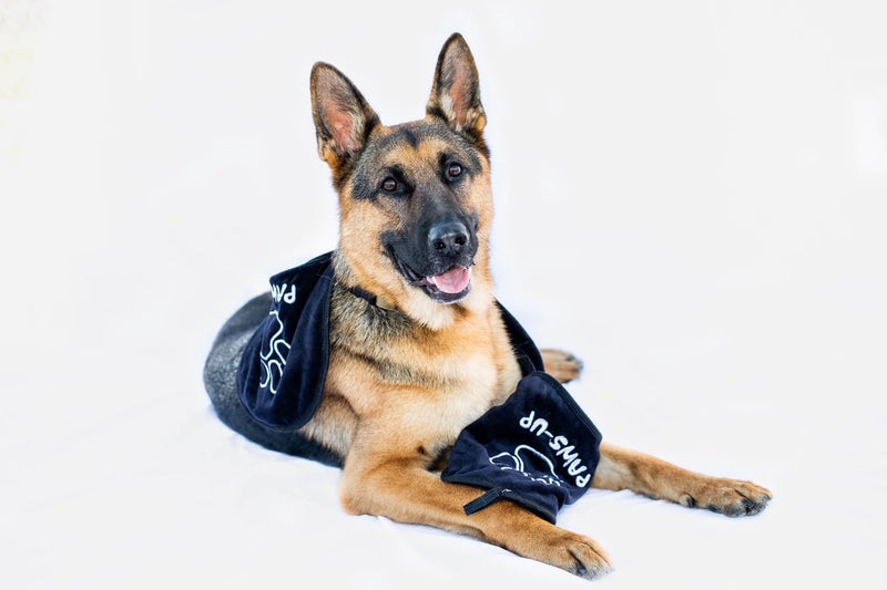 XL Paw Cleaning Towel for Dogs removes mud Dirt Grass Sand allergens Machine Washable Microfiber Also Great for a Quick Dry Puppy Bath Towel with Two Hand Pockets. 34” X 10” XL (black) Black - PawsPlanet Australia