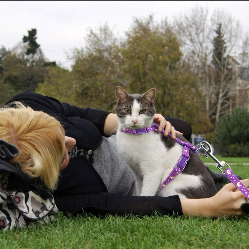 Cat Harness and Leash Set Gold Moons Soft Nylon Escape Proof Adjustable for Kittens Small Animals Glow in The Dark(Purple) Purple - PawsPlanet Australia