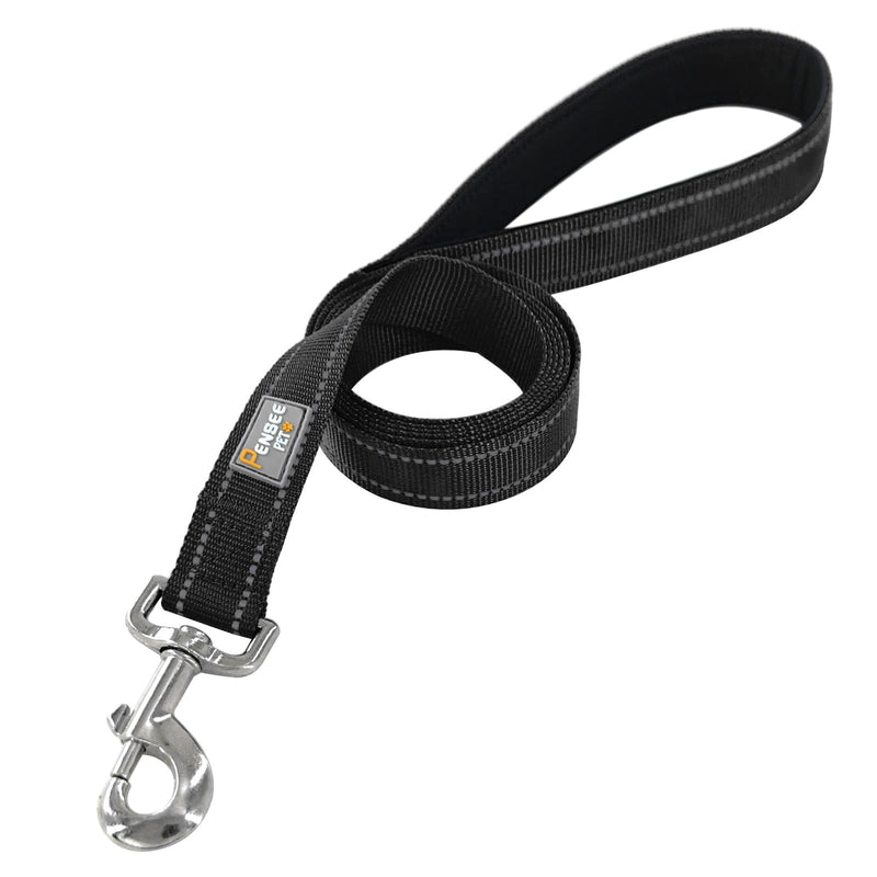 Dog Leash 6 FT Padded Handle Nylon Reflective Dogs Leashes for Small Dogs Black Small : 5/8" x 6 FT Refl Black - PawsPlanet Australia