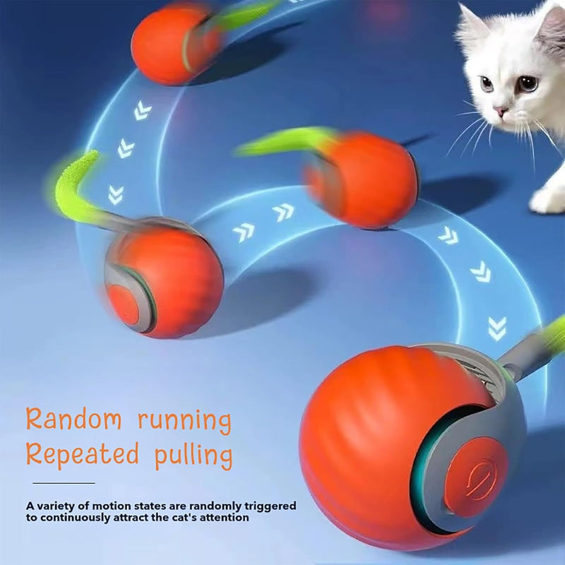 Speedy Tail 2.0 Cat Toy, 2025 New Speedy Tail Cat Toy, Interactive Cat Ball Toy, USB Rechargeable Smart Cat Toys Ball, Two Speed Adjustment, with Replacement Tail (Orange) Red - PawsPlanet Australia