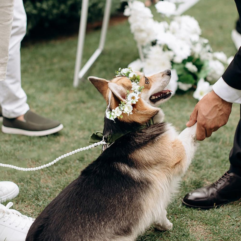 2Pcs Dog Wedding Flower Collar with Pearls Beaded Leash, Dog Flower Collar Wedding and Leash Set Pearls, Elegant Dogs Flowers Headband, Pet Photo Prop for Medium Dogs Floral Collars Pet - PawsPlanet Australia