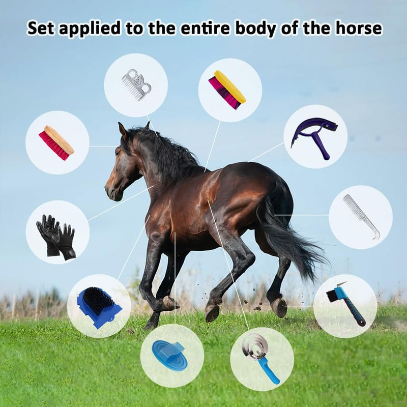 La La Pet® Grooming Kit with Bag - 11Pcs Brush Set for Horse Cleaning, Care and Tack Room Supplies - PawsPlanet Australia
