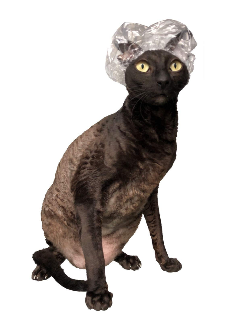 Shower Caps for Sphynx Cats and Small Pets 20pcs Transparent - PawsPlanet Australia